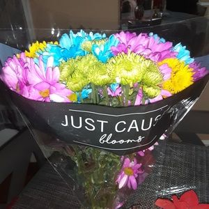 Meet your Posher, Jessenia